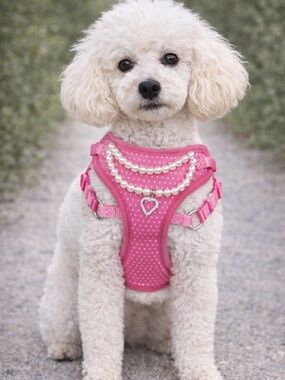 NWT Vibrant Life Harness Pink White Polka Dot Pearl Necklace Size Medium